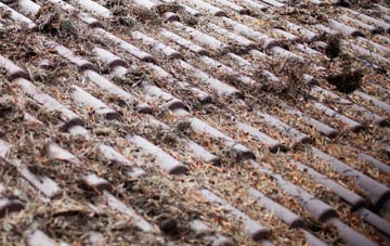 Mosstodloch roof cleaning companies